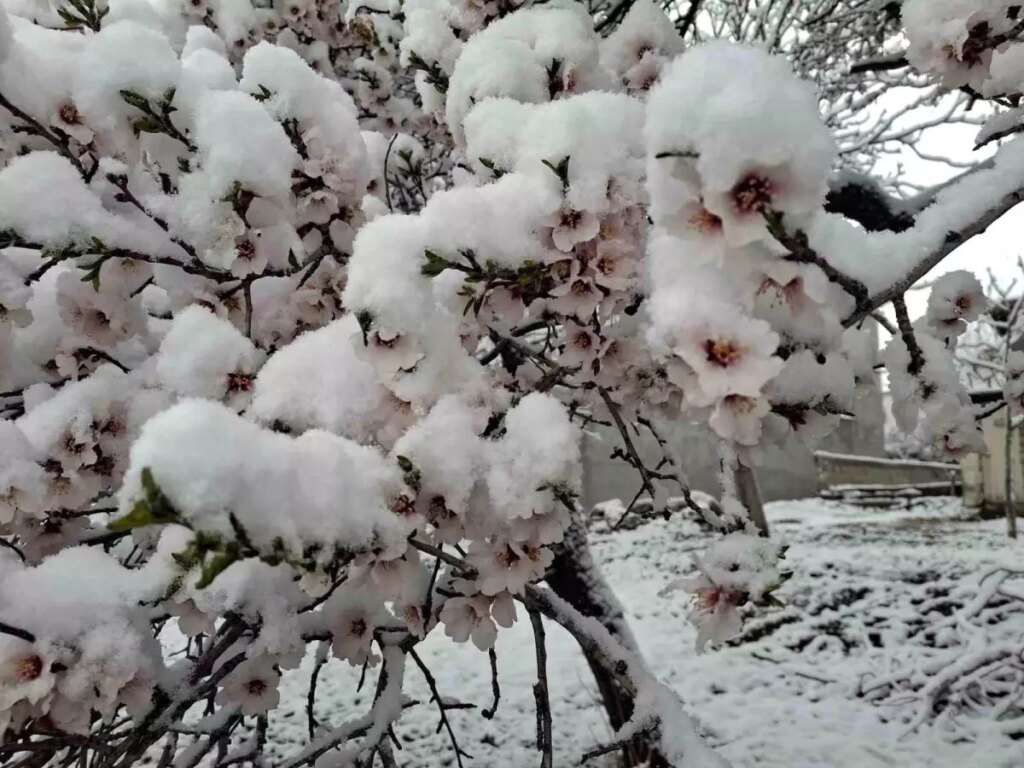 Sincik’te Mart’ta Kar Yağışı